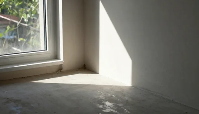 家政服务选型中的常见误区与正确理解